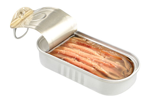 Anchovies all day every day